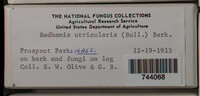 Image Associated With the Occurence
